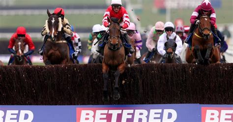 cheltenham festival betting promotions
